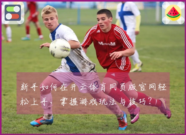 新手如何在开云体育网页版官网轻松上手，掌握游戏玩法与技巧？