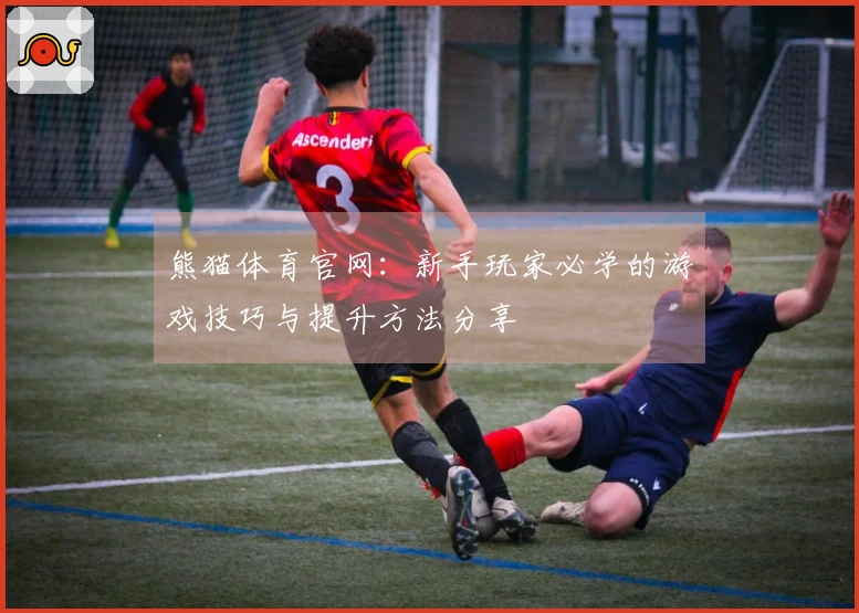 熊猫体育官网：新手玩家必学的游戏技巧与提升方法分享