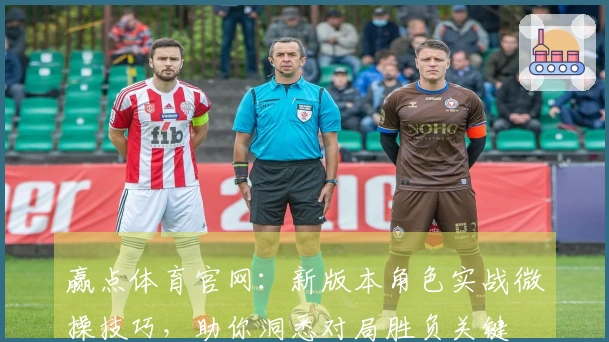 赢点体育官网：新版本角色实战微操技巧，助你洞悉对局胜负关键