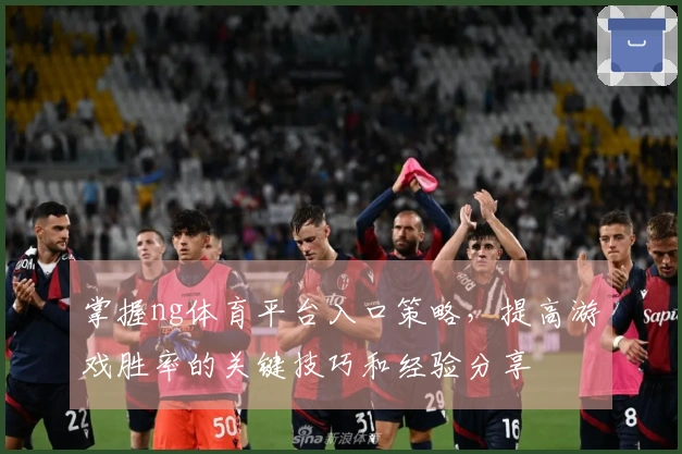掌握ng体育平台入口策略，提高游戏胜率的关键技巧和经验分享